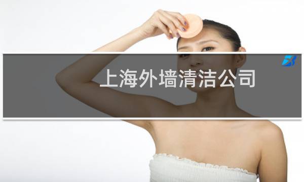 上海外墙清洁公司 -