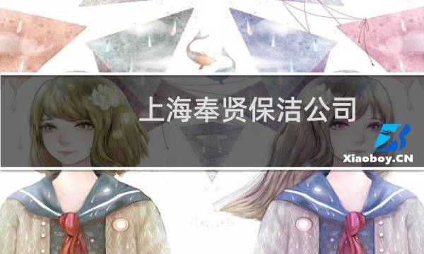 上海奉贤保洁公司 - 上海奉贤开荒保洁