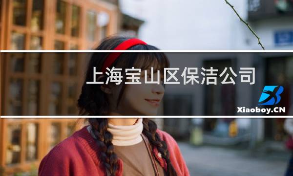 上海宝山区保洁公司 -