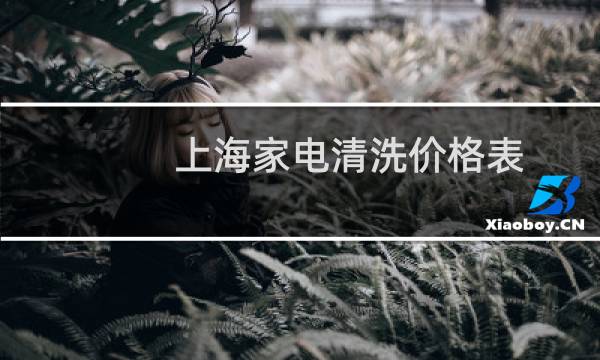 上海家电清洗价格表 - 家电清洗一个月有6000吗