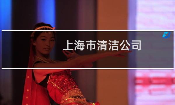 上海市清洁公司 -