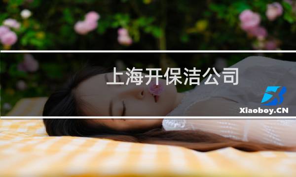 上海开保洁公司 - 上海正规的保洁公司推荐