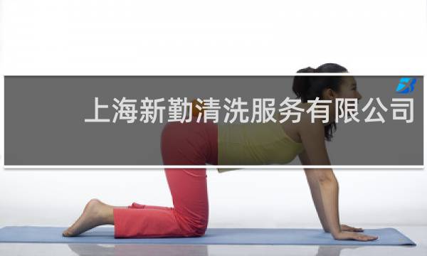 上海新勤清洗服务有限公司 - 上海新清洗服务有限公司怎么样