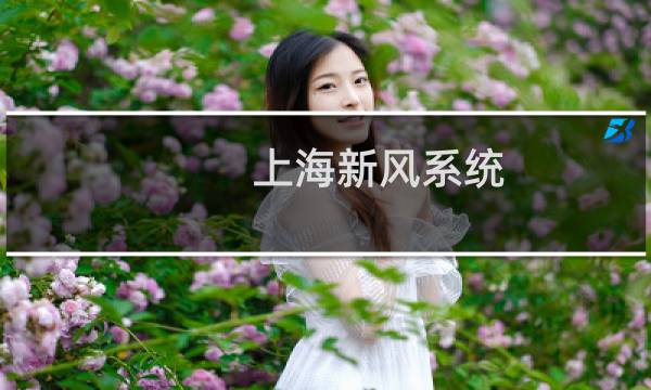 上海新风系统 - 上海有必要装新风系统吗