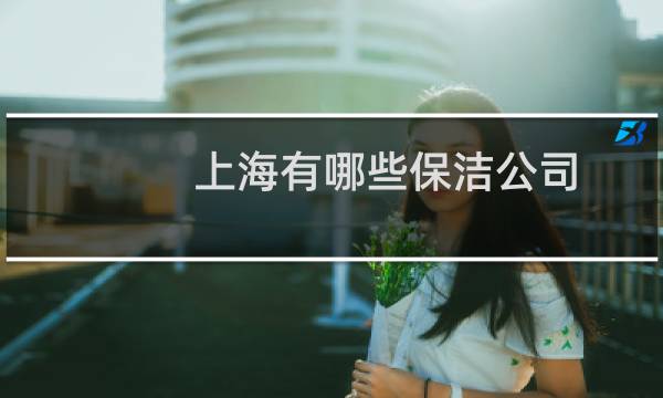 上海有哪些保洁公司 - 上海比较有名的保洁公司