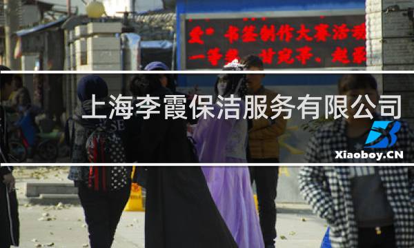 上海李霞保洁服务有限公司 - 李霞保洁南京
