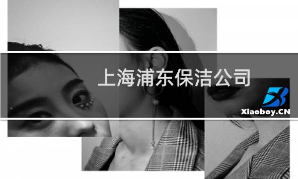 上海浦东保洁公司 - 上海浦东实验室保洁公司公司