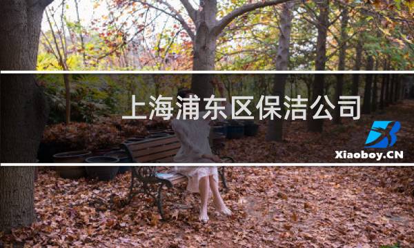上海浦东区保洁公司 - 浦东区家庭保洁公司