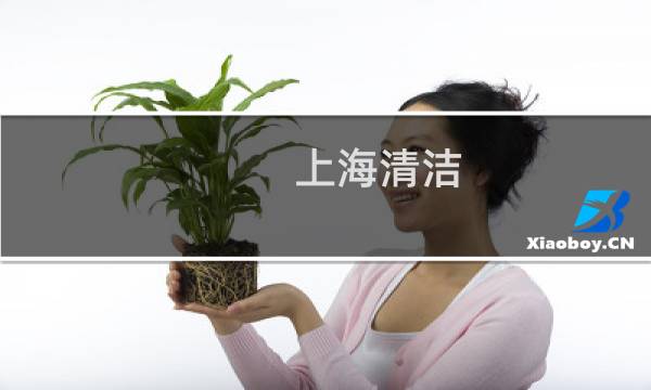 上海清洁 - 上海地毯清洗服务