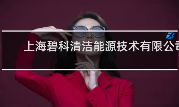 上海碧科清洁能源技术有限公司 - 上海能链科技有限公司