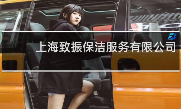 上海致振保洁服务有限公司 - 上海至振物业管理有限公司