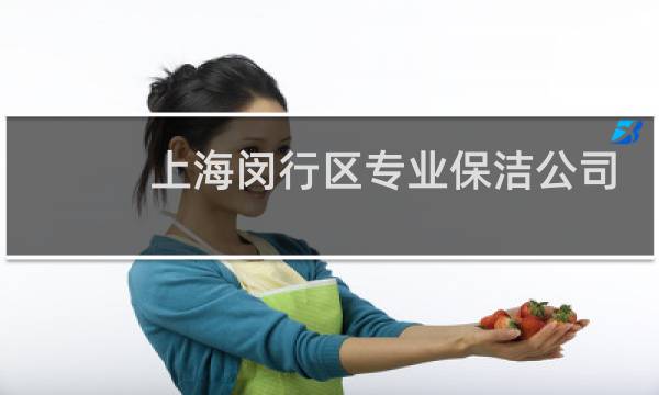 上海闵行区专业保洁公司 - 闵行家庭保洁