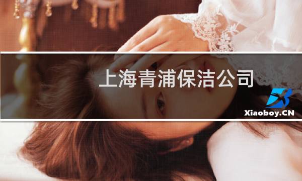 上海青浦保洁公司 - 上海徐泾环卫所和保洁公司