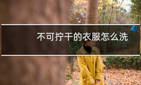 不可拧干的衣服怎么洗 - 不可拧干可以洗衣机里甩吗