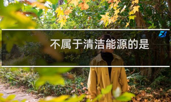 不属于清洁能源的是 - 下列不属于清洁能源