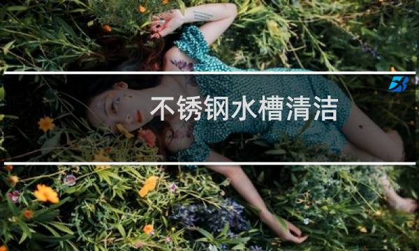不锈钢水槽清洁 - 不锈钢水槽去污