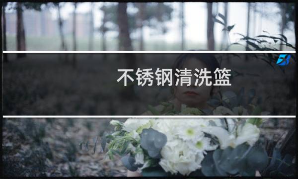 不锈钢清洗篮 - 清洗篮各种材质