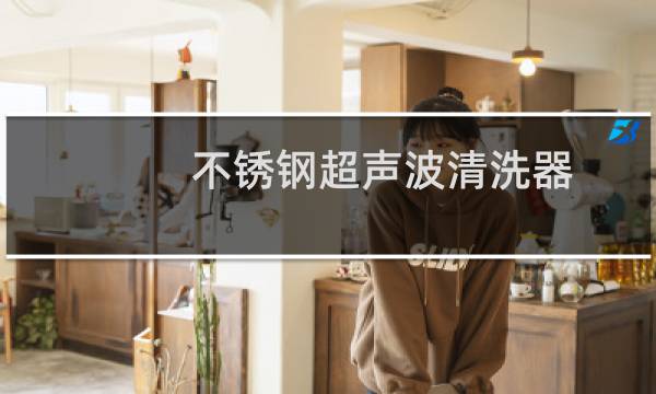 不锈钢超声波清洗器 -