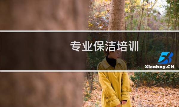 专业保洁培训 - 有培训保洁的地方吗