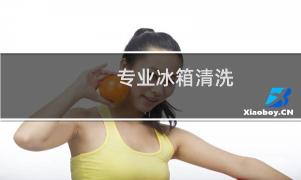 专业冰箱清洗 - 冰箱冷冻格栅式隔层拆解图