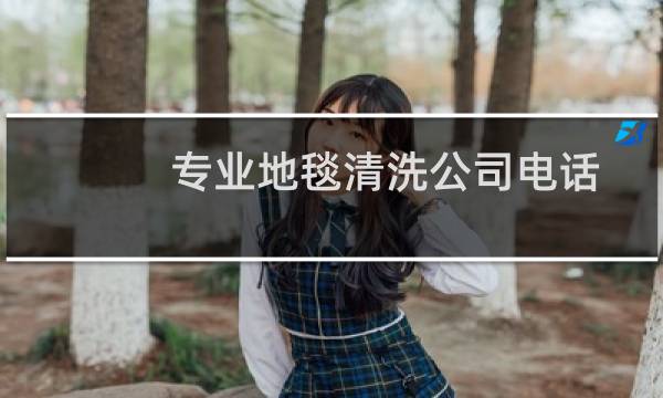 专业地毯清洗公司电话 - 附近清洗地毯