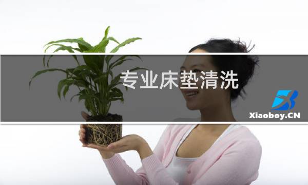 专业床垫清洗 - 专业床垫清洗技术