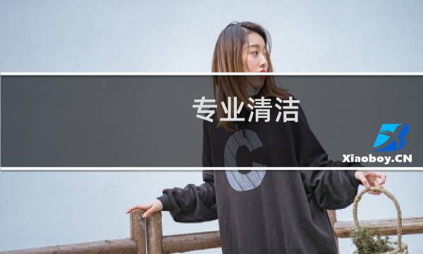 专业清洁 - 清洁服务有限公司