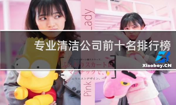 专业清洁公司前十名排行榜 - 有创意的清洁公司名字大全