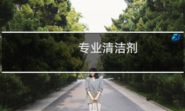 专业清洁剂 - 洗衣机清洁剂排名