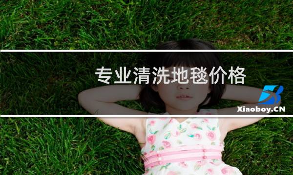 专业清洗地毯价格 - 清洗地毯一般多少钱一平