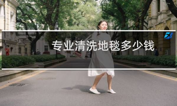 专业清洗地毯多少钱 - 2米3米的地毯清洗多少钱