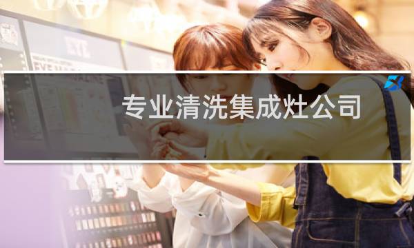 专业清洗集成灶公司 - 集成灶清洗服务上门