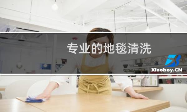 专业的地毯清洗 - 附近清洗地毯