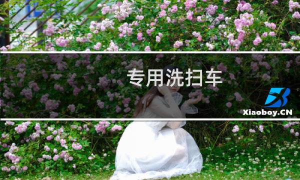 专用洗扫车 -