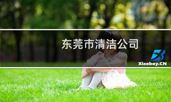 东莞市清洁公司 - 东莞市工厂清洁服务公司