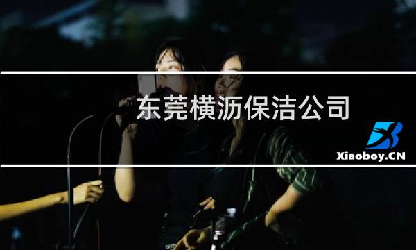 东莞横沥保洁公司 - 东莞哪里服务