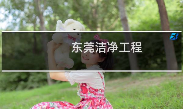 东莞洁净工程 -