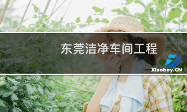 东莞洁净车间工程 -