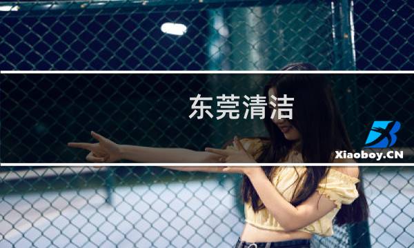 东莞清洁 - 东莞市清洁服务