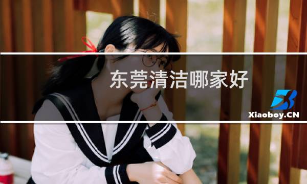 东莞清洁哪家好 - 东莞钟点工清洁哪家好