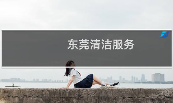 东莞清洁服务 - 东莞洗刷刷清洁服务有限公司