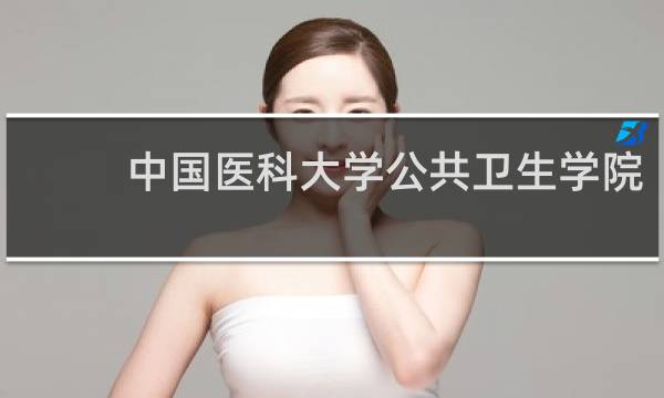 中国医科大学公共卫生学院 - 中国医科大学公共卫生专硕