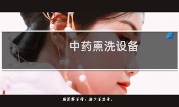 中药熏洗设备 - 中药熏蒸仪器