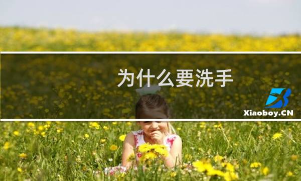 为什么要洗手 - 告诉小朋友为什么要洗手