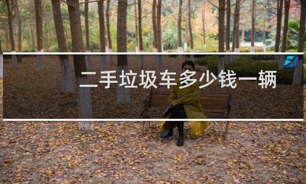 二手垃圾车多少钱一辆 - 二手小型垃圾车