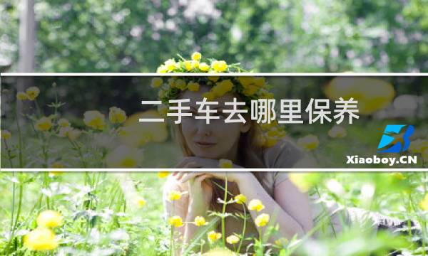 二手车去哪里保养 - 买的二手车去哪里保养