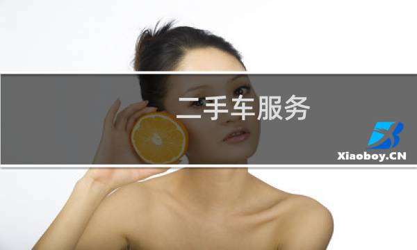 二手车服务 - 二手车服务简短概述