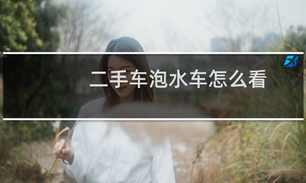二手车泡水车怎么看 - 怎样识别二手车是不是泡水车
