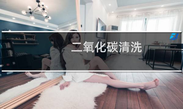 二氧化碳清洗 - co2清洗