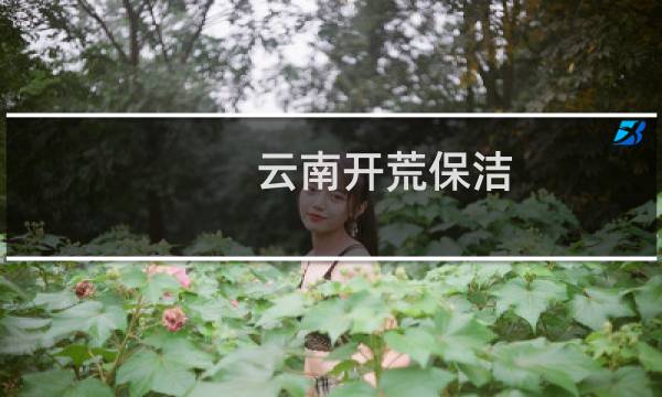 云南开荒保洁 - 昆明大型开荒保洁